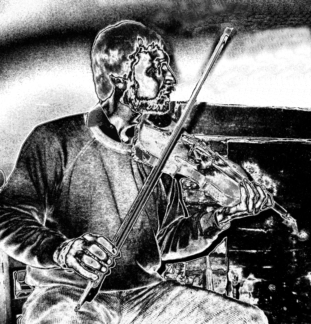 Tims Fiddle logo